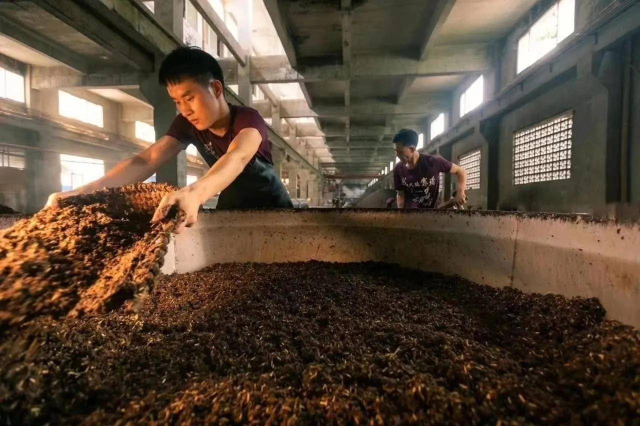 茅公坊大讲坛之坤沙、碎沙、翻沙、串沙酒：一文读懂它们的区别