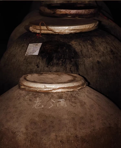 茅公坊大讲坛之为什么喝酱酒不容易上头？