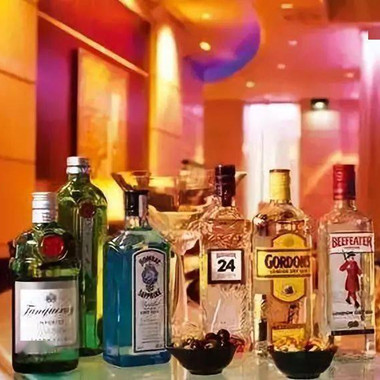 茅公坊大讲堂：各国代表名酒之荷兰