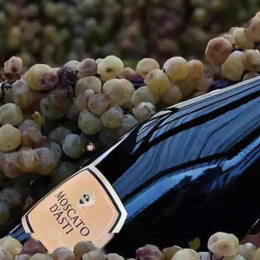 茅公坊大讲堂：各国代表名酒之意大利